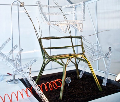 Chair Farm: Werner Aisslinger Creates Chairs from Living Trees!  Read more: Chair Farm: Werner Aisslinger Creates Chairs from Living Trees! | Inhabitat - Sustainable Design Innovation, Eco Architecture, Green Building